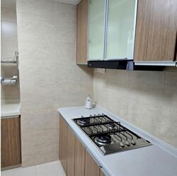 The Lakeshore (D22), Condominium #559167181